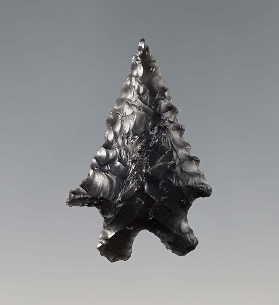 Fine 1 5/16" Pinto Basin found by Hank Cassidy, Lake Co., Oregon in the 1950's.