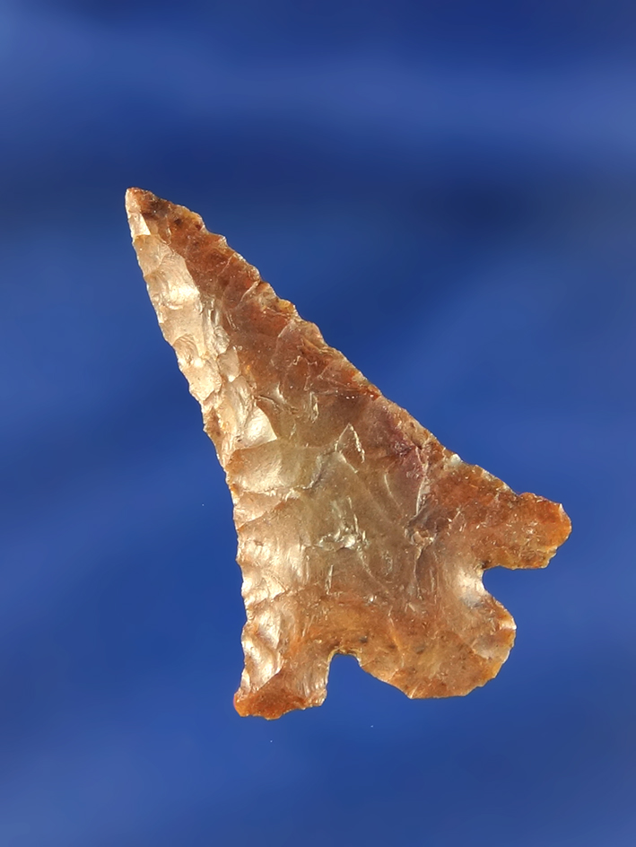 1 9/16" Cornernotch found near the Columbia River, Washington.