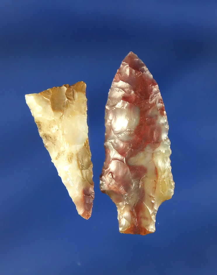 Pair of attractive Columbia River Arrowheads, largest is 1 1/4". Found in Washington.