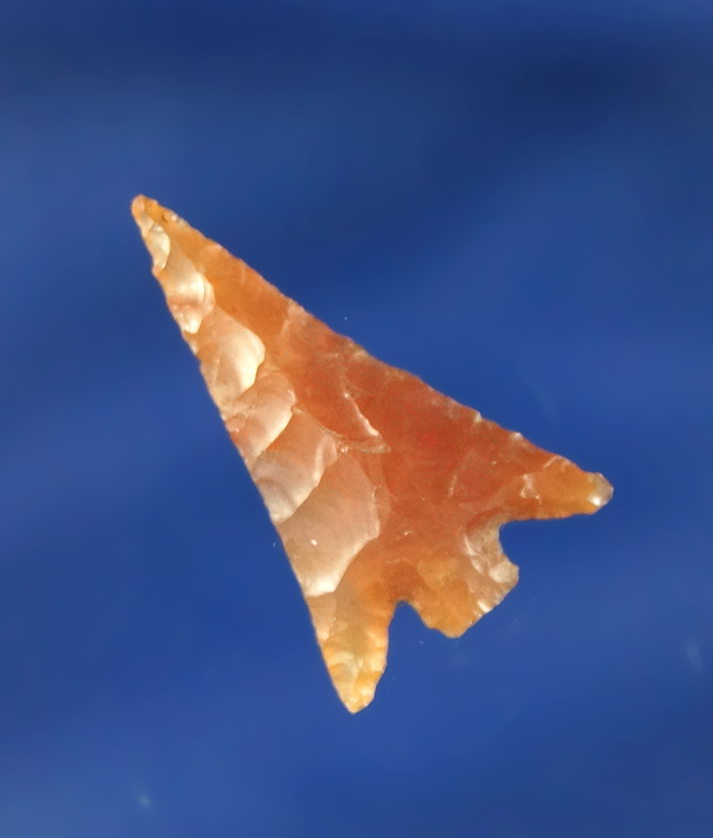 Exceptional material quality on this 1" Columbia Plateau - beautiful translucent butterscotch agate