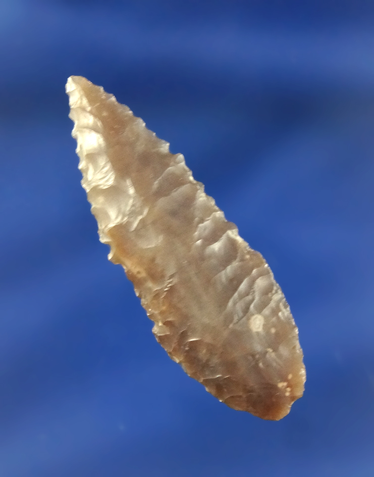 1 13/16" nicely serrated Leaf Point found near the Columbia River, Washington.