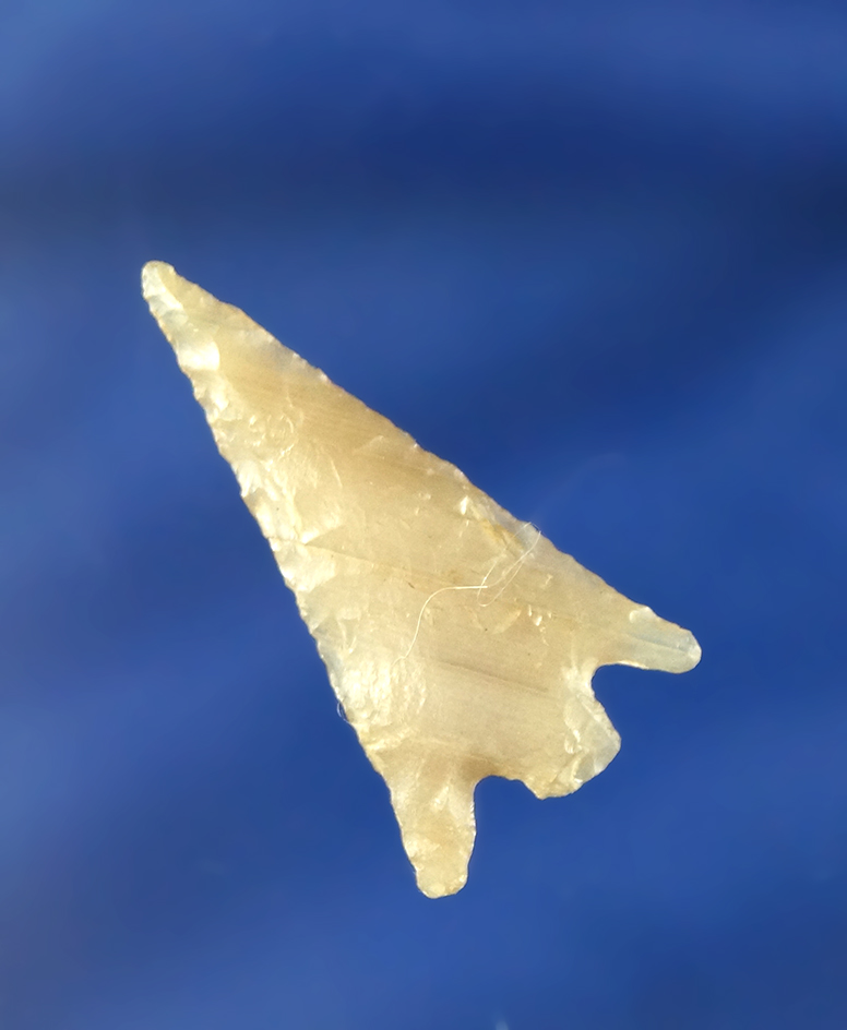 1 3/16" Columbia River Gempoint - semi translucent banded Agatized Wood - Washington.