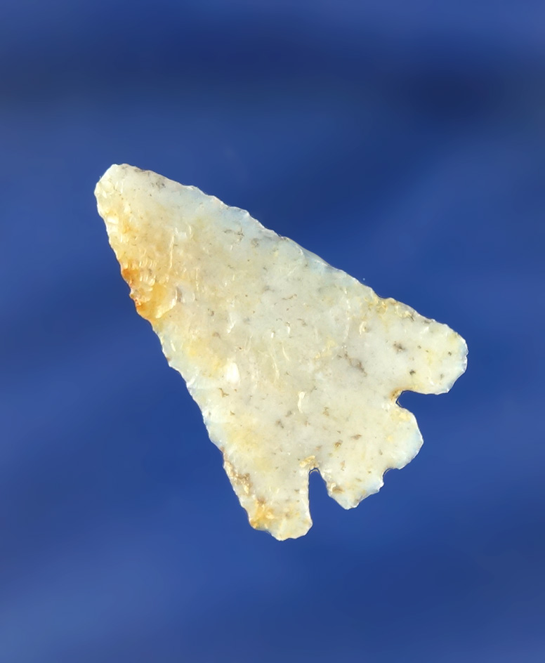 1 1/4" Eastgate Split Stem with excellent flaking found in Nevada.