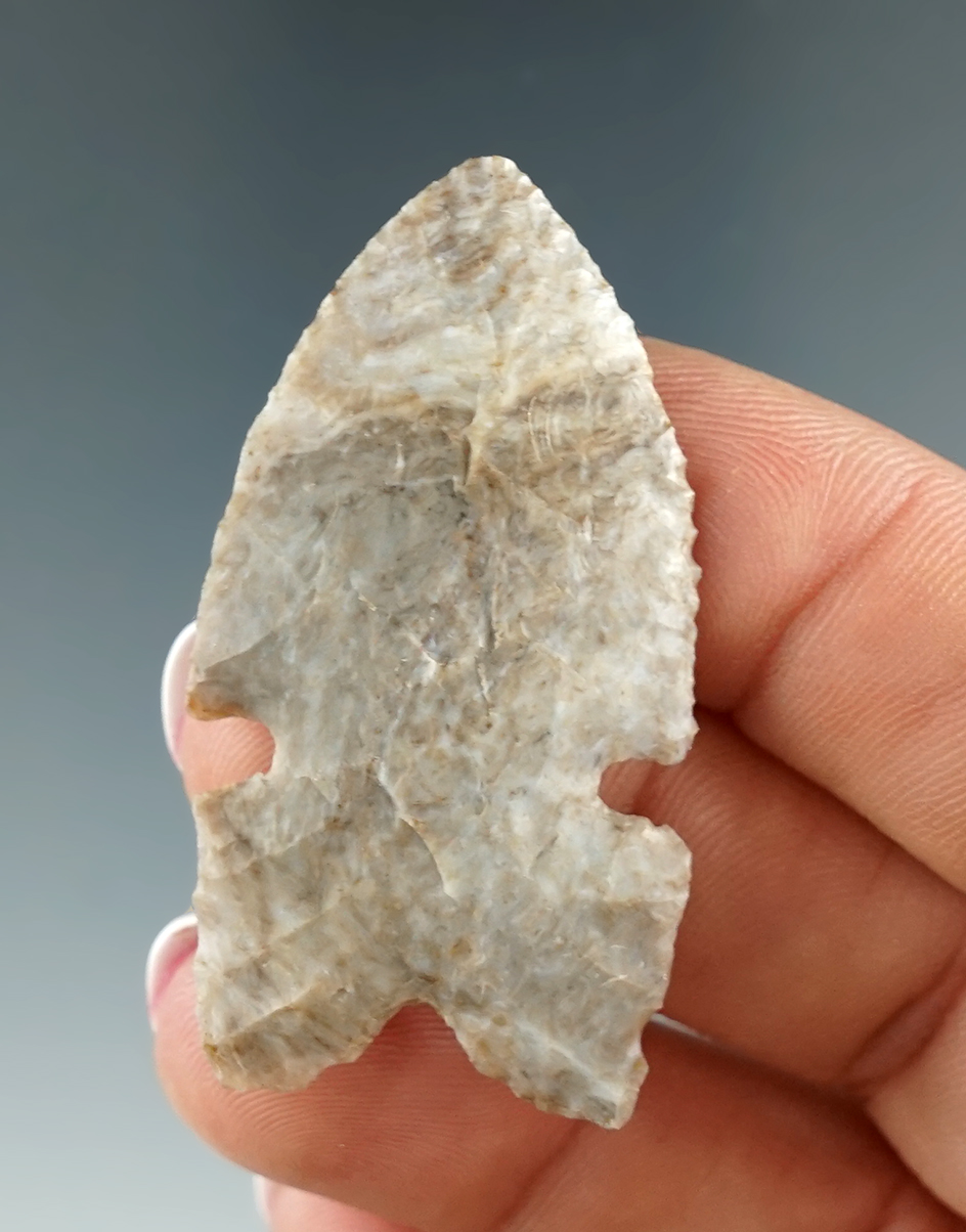 Pictured! Thin and excellent style on this classic 1 15/16" Mallory point Found in Eastern Colorado.