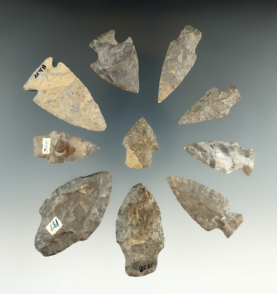 10 fields found pointsfound on the Comstock and Vaughn farms, Allegheny Co., New York.