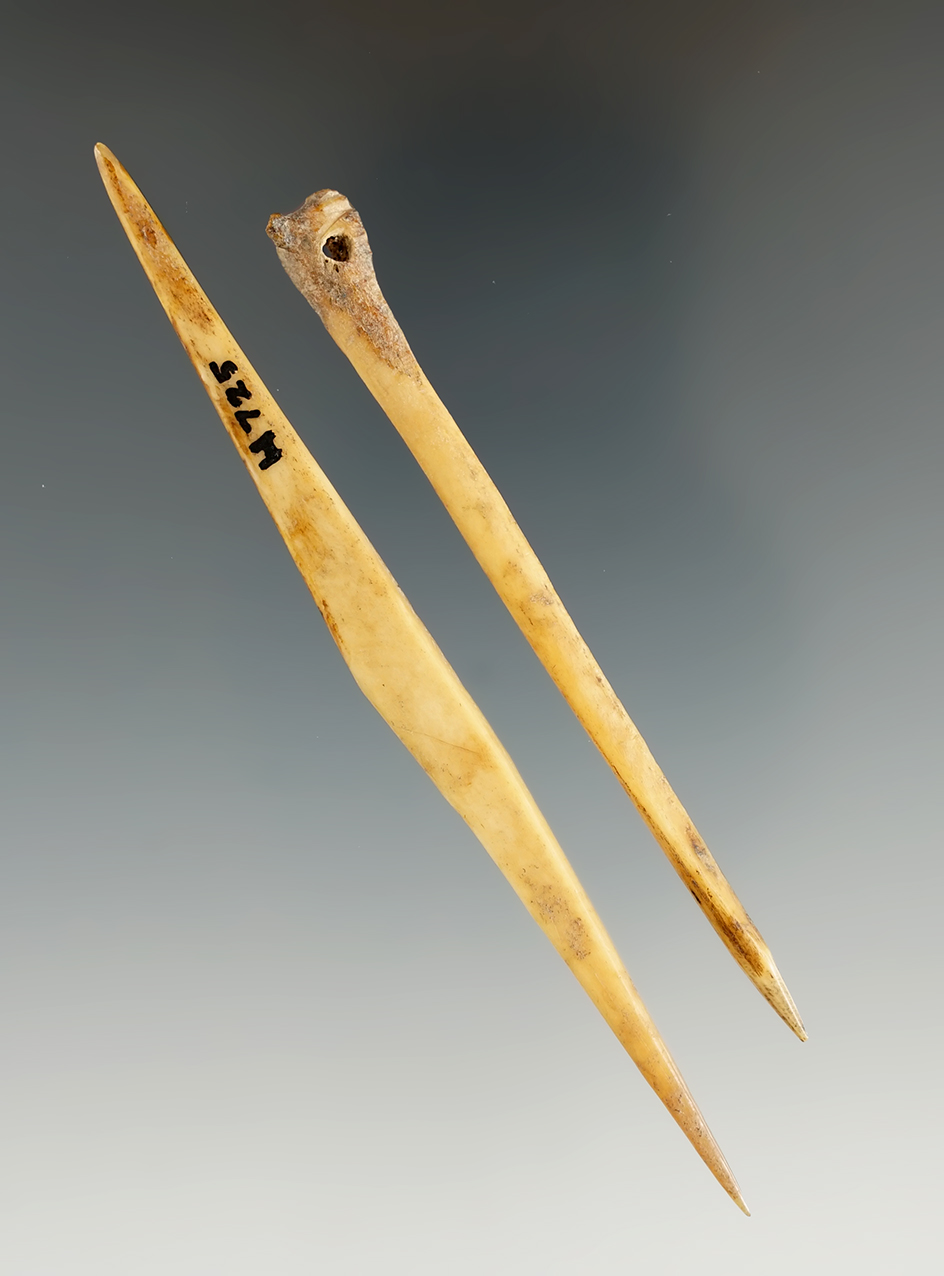 Two very fine bone needles found on the Feurt site. Largest is 4 1/8". Ex. Hovan, #H725.