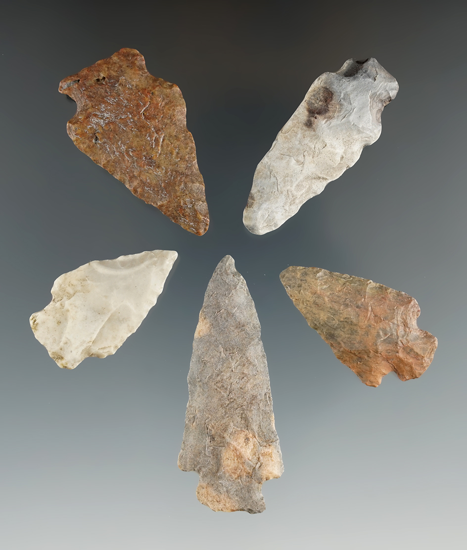 Set of five  assorted points found in Eastern South Dakota, largest is 2 3/16".