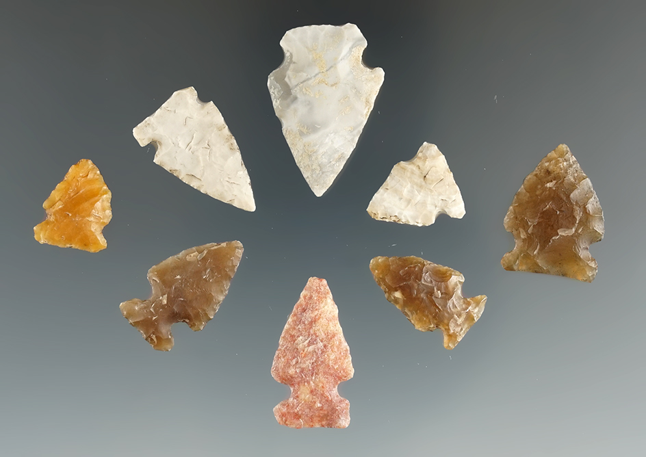 Set of eight  assorted points found in Eastern South Dakota, largest is 1 1/8".