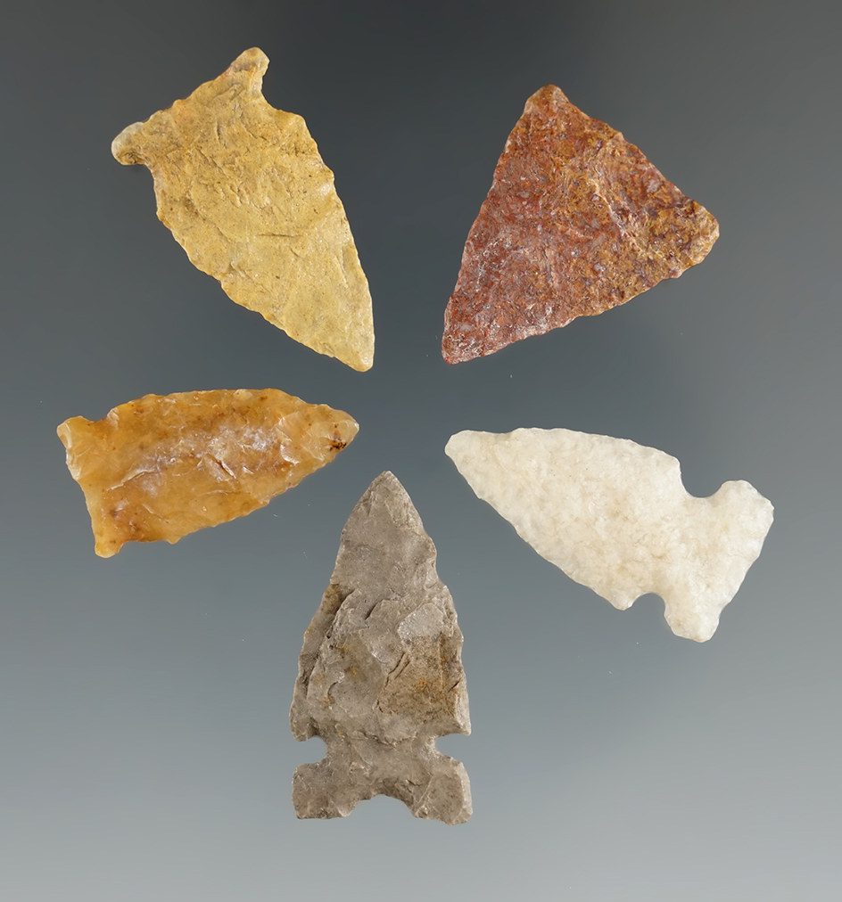 Set of five  assorted points found in Eastern South Dakota, largest is 1 1/8".