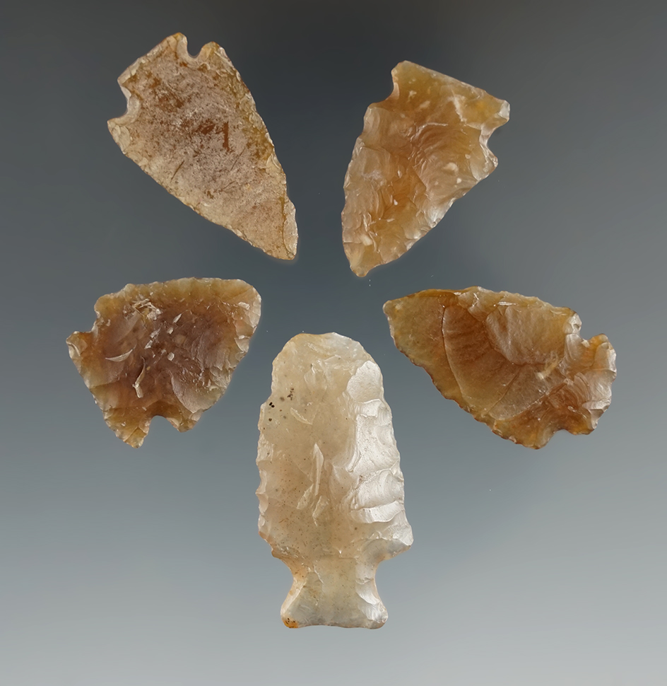 5 Knife River Flint arrowheads in very nice condition found by Harlan Olson in Kingsbury Co., SD.