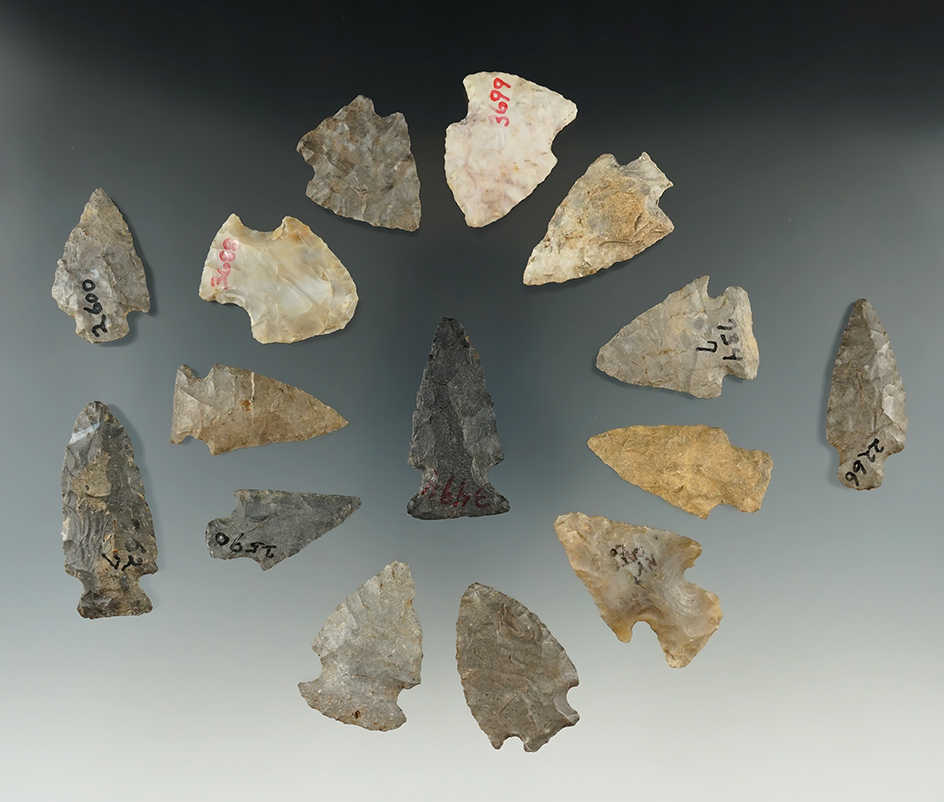 14 field found arrowheads from Allegheny Co., New York. Largest is  1 15/16".