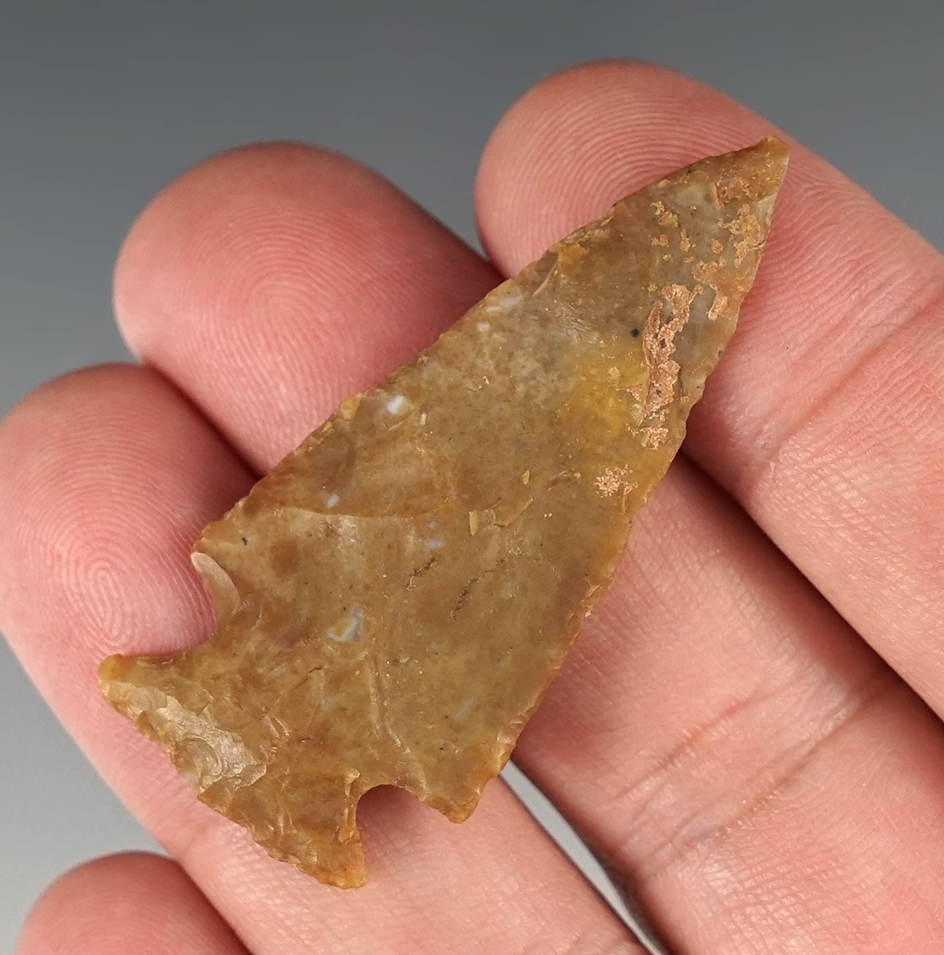 2" well styled Cornernotch in excellent condition found in New Mexico.