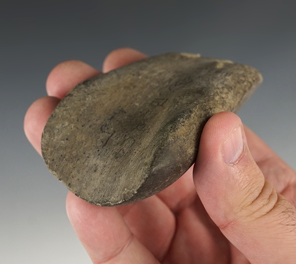 Fantastic 3 3/4" Hardstone Gouge found in Burlington Co., New Jersey.