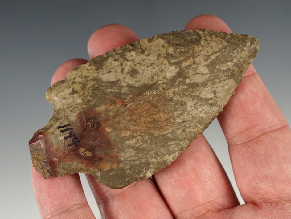 3 7/16" Well Patinated Stemmed Knife found in Georgia.