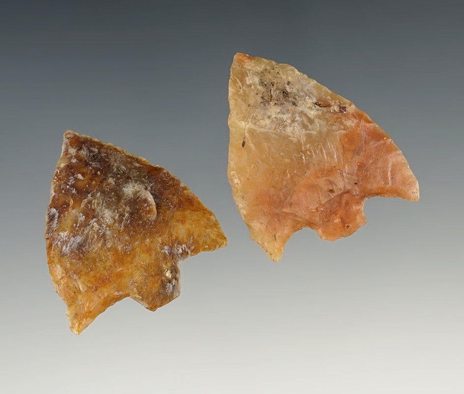 Pair of colorful Points found in Suwannee Co., Florida. The largest is 1 13/16".