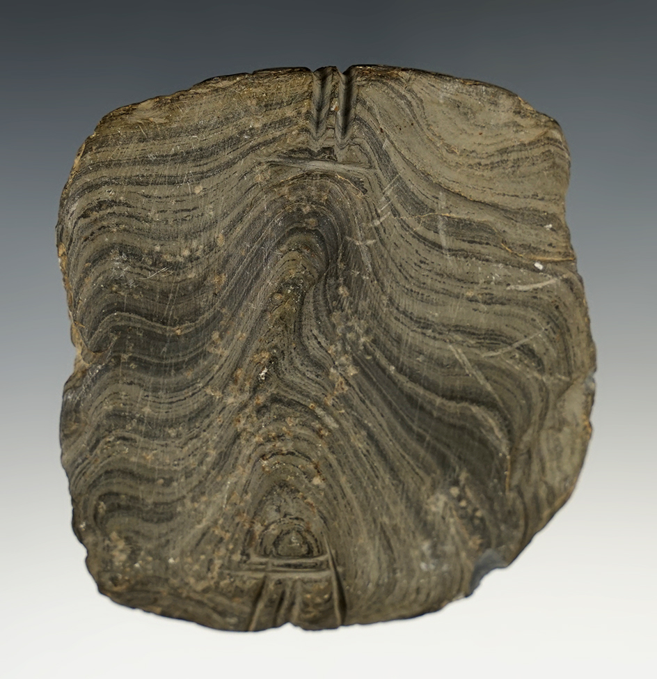 3 1/4" x 3"  Notched Ovate Preform made from Banded Slate. Huron Co., Ohio, in 1991.