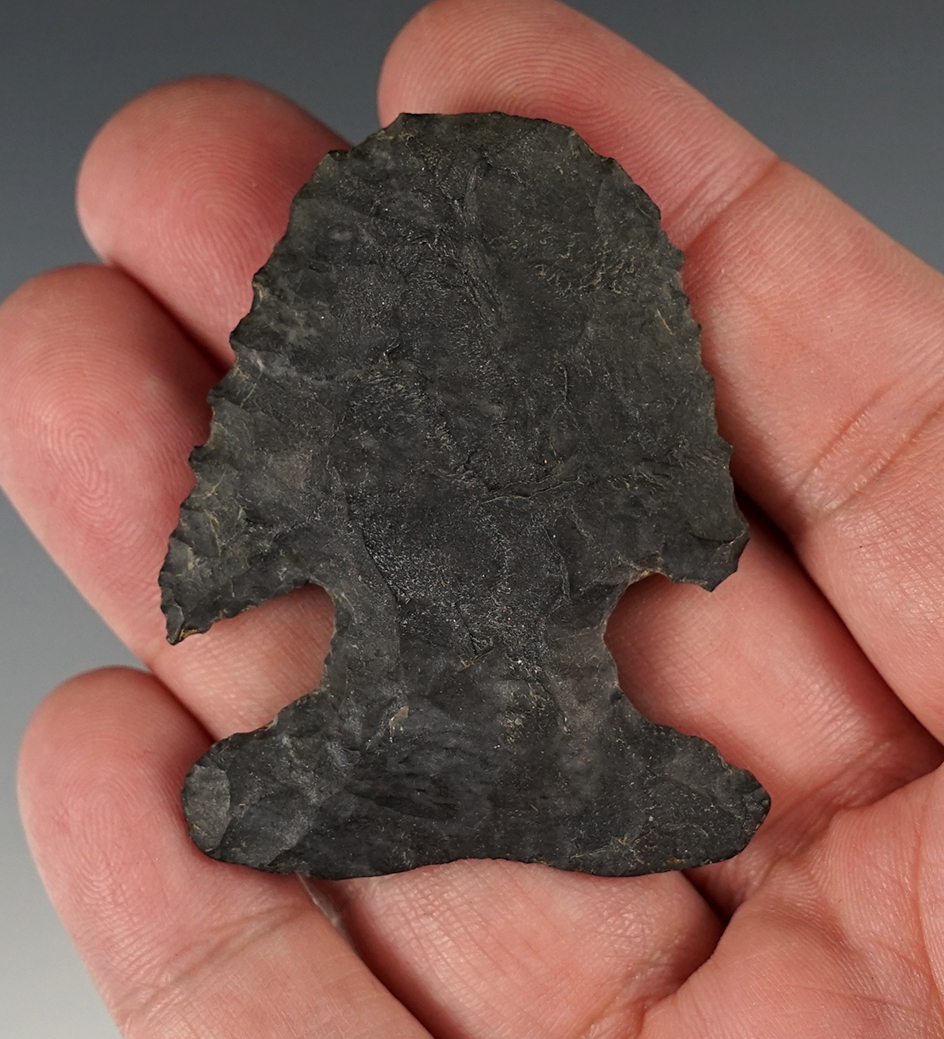 Large 2 1/8" Archaic Deep Notched Blunt made from Coshocton Flint, found in Knox Co., Ohio.