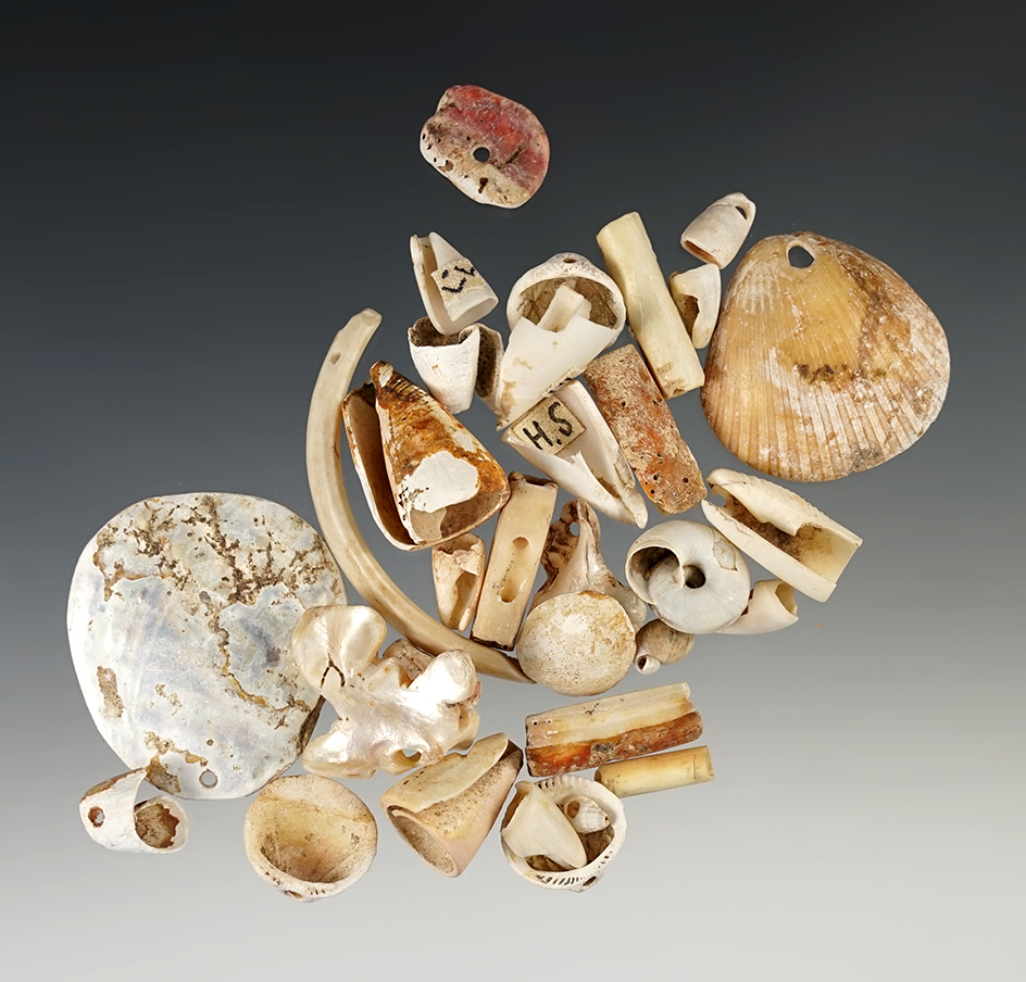Large group of assorted shell beads and ornaments found in New Mexico. Largest is 2".