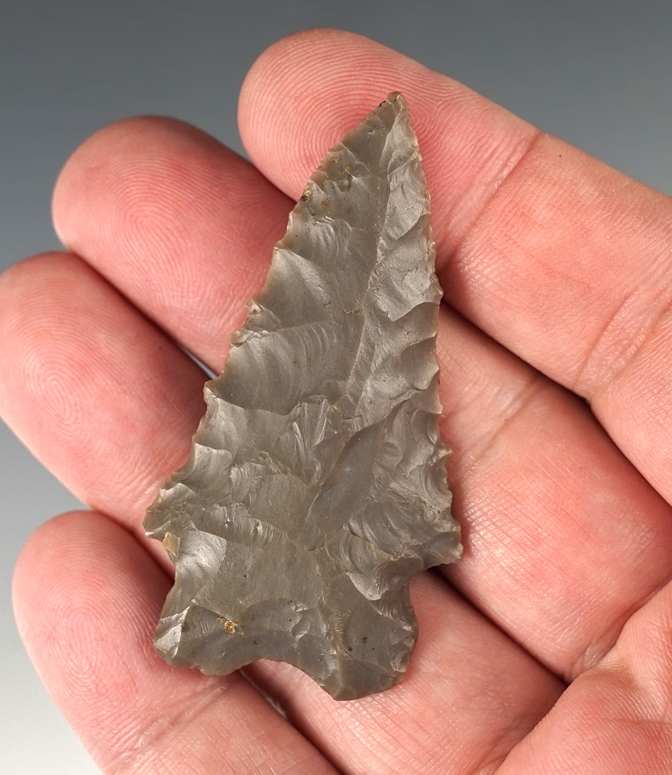 2 1/4" Finely made MacCorkle Point with nice serrations made of Hornstone. Found in Indiana.