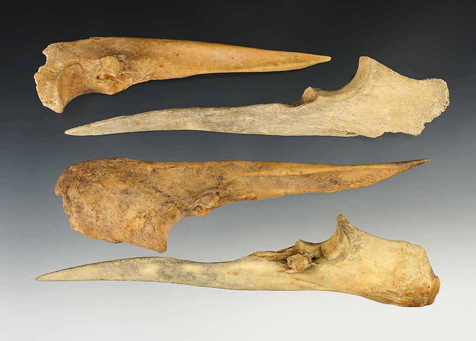 Set of 4 Bone Awls found in New Mexico. Largest is 7 1/16".