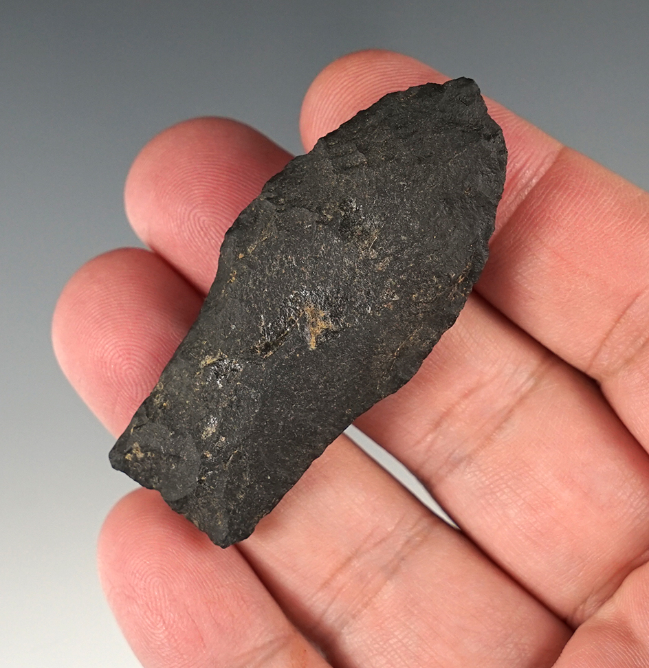 2 5/16" Rio Grande with heavy ground stem area found in New Mexico.