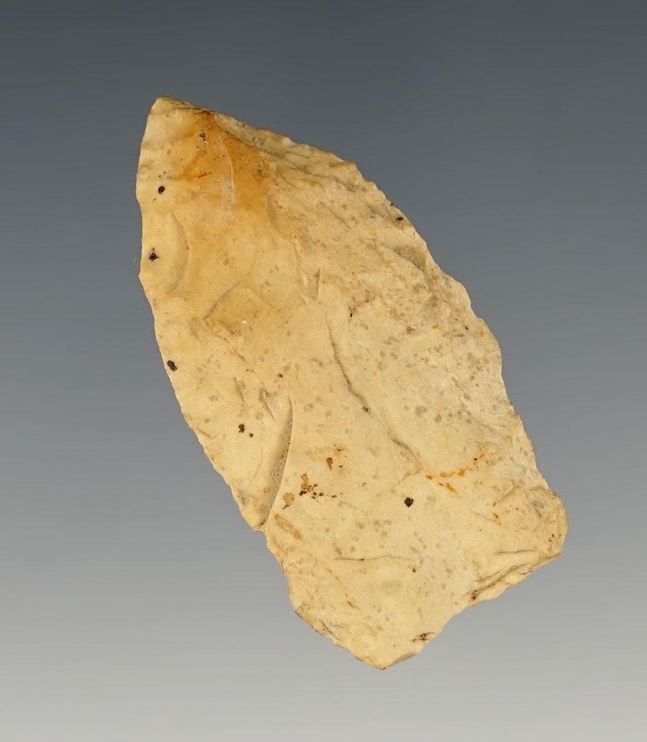 1 7/8" Fluted Paleo Point found in Coffee Bayou, Louisiana.