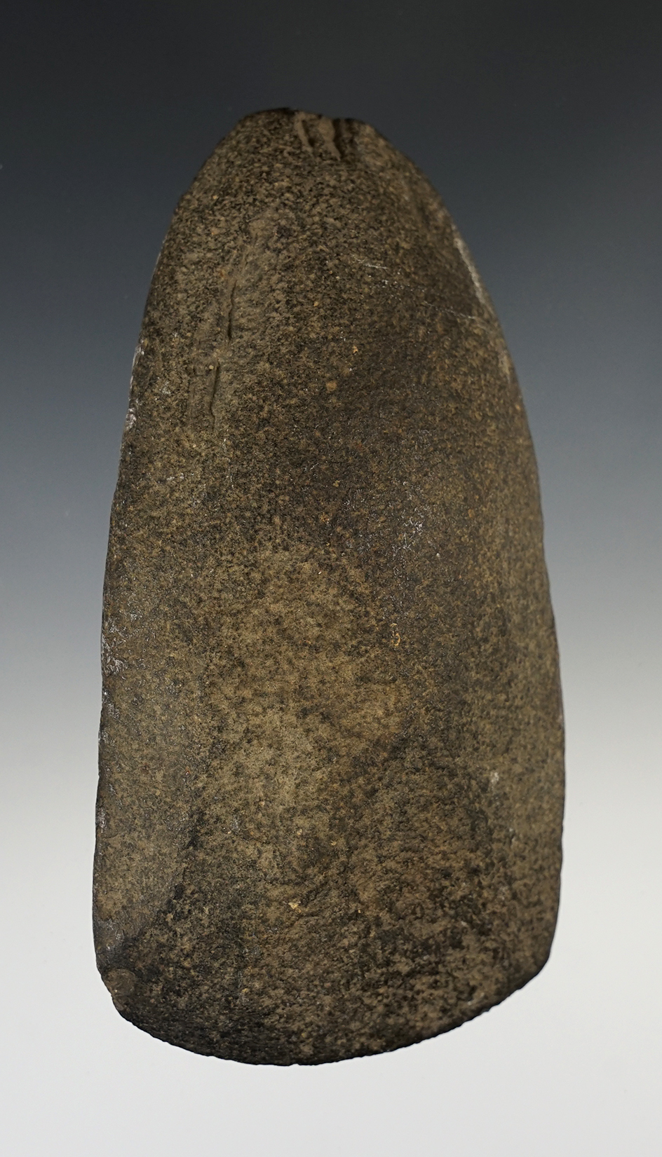Very unique 5 1/2" curved stone Adze found in New Mexico.