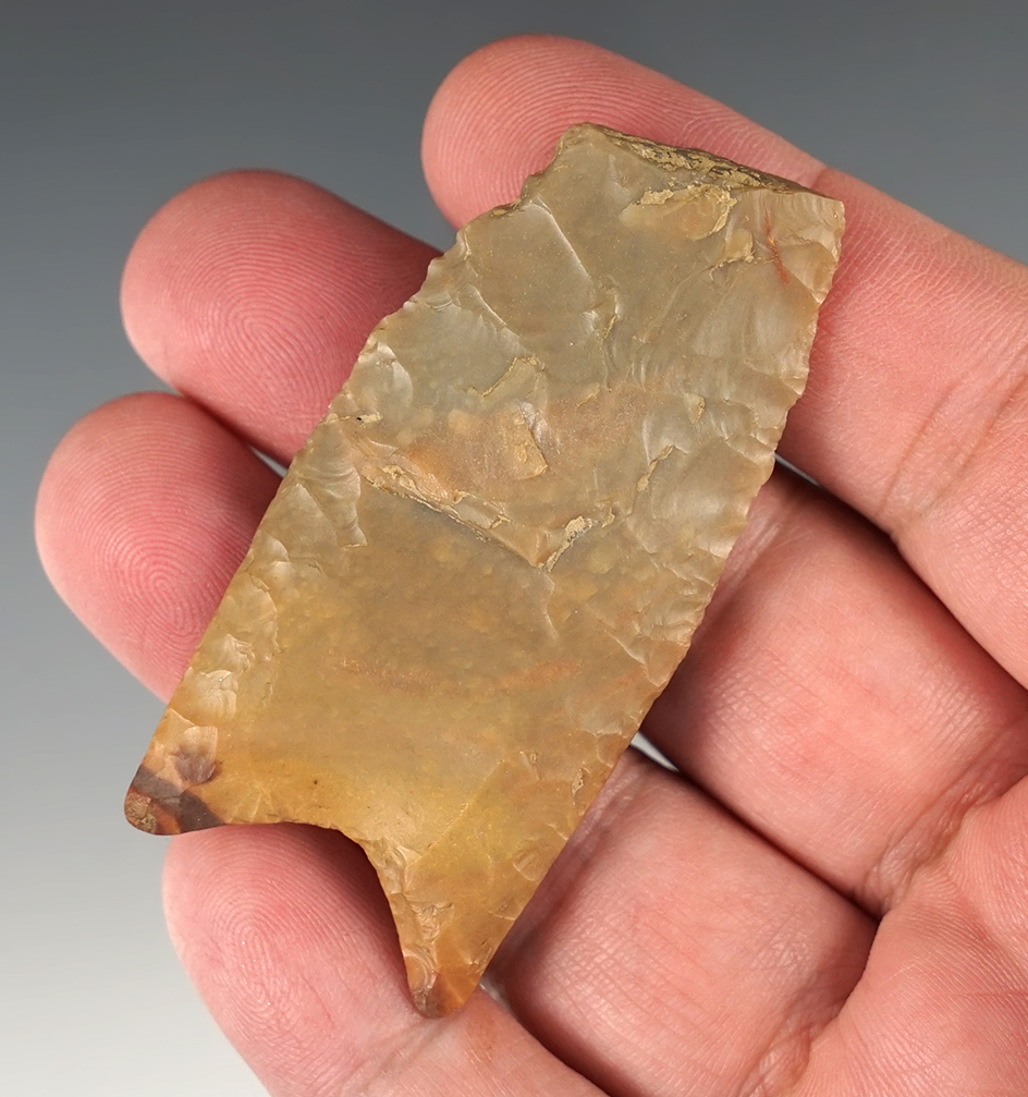 2 9/16" Paleo Fluted Clovis with nice flaking - beautiful material. Found in Jennings Co., Indiana.