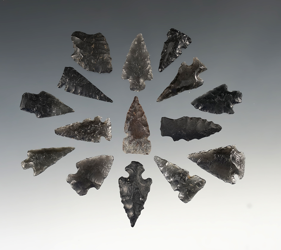 Group of 15 Assorted Arrowheads found in New Mexico, largest is 1 1/8".