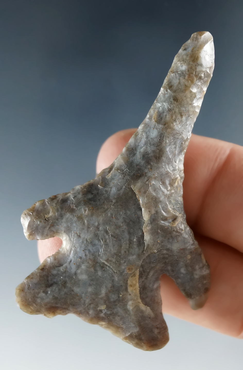 2 1/4" Elko Drill made from Agate, found near the Columbia River.