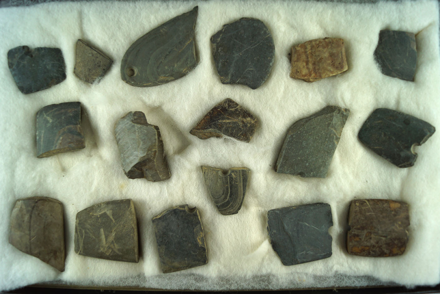 Large set of broken slate pieces which are great for study. Found by Howard Bell in Ohio.