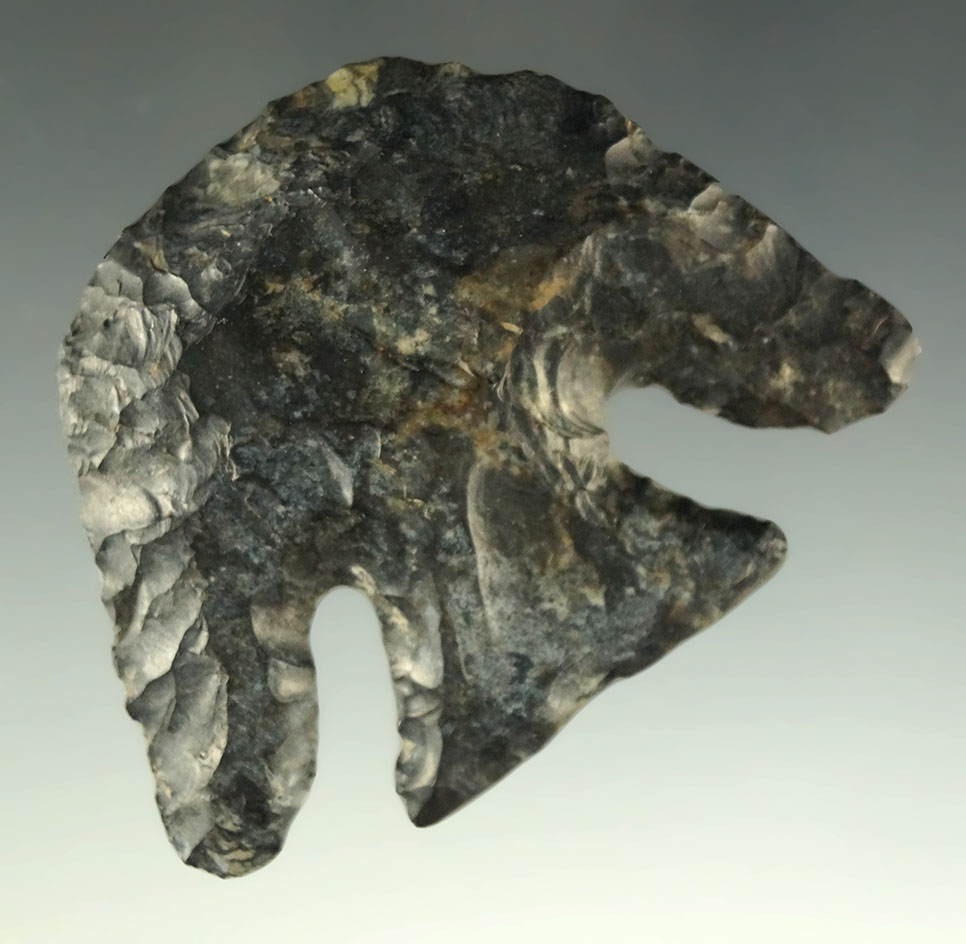 Exceptional! 2 1/16" Coshocton Flint Hafted Scraper with large deep notches found in Ohio.