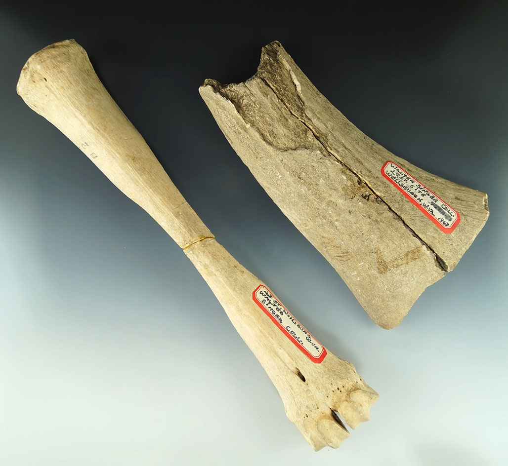 Large bone Beamer which is broken and glued the mid section and a large bone scraper - WV.