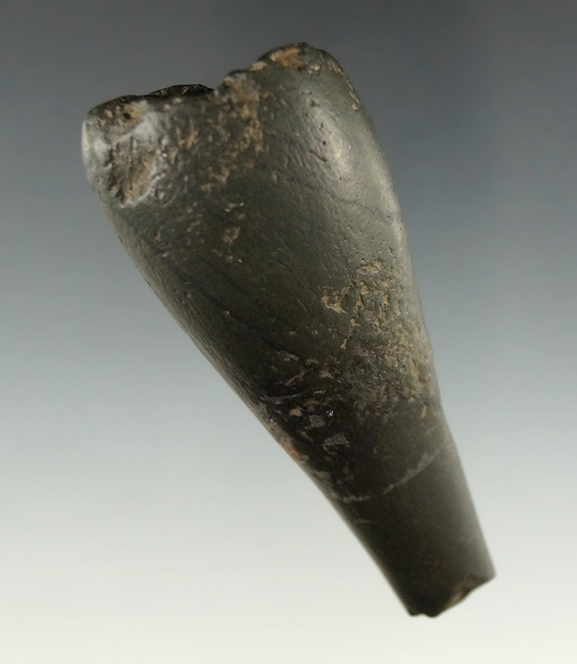 3 1/8" rare Lizard Effigy that broke in ancient times and was being salvaged into a pipe - Ohio.