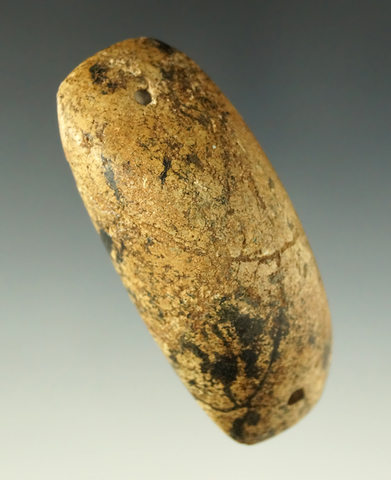 2 7/8" extremely rare black and yellow Gneiss two hole Humped Bar found near Bellpre Ohio.