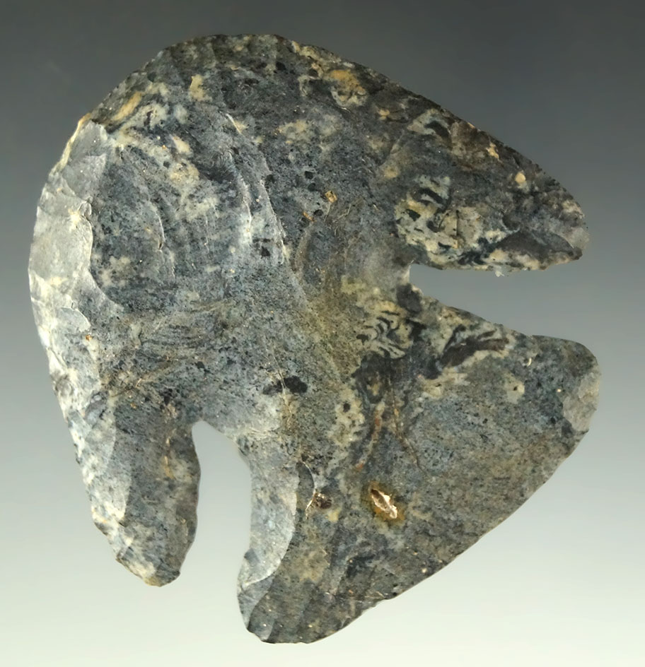 Large and nice! 2 3/16" long by 2 1/8" wide Coshocton Flint Thebes Hafted Scraper found in Ohio.