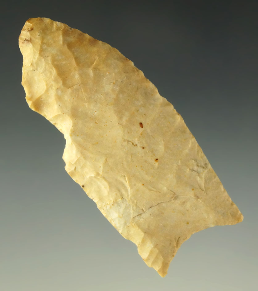 2 1/2" Paleo Fluted Clovis - Independence County Arkansas - Burlington chert. Davis COA.