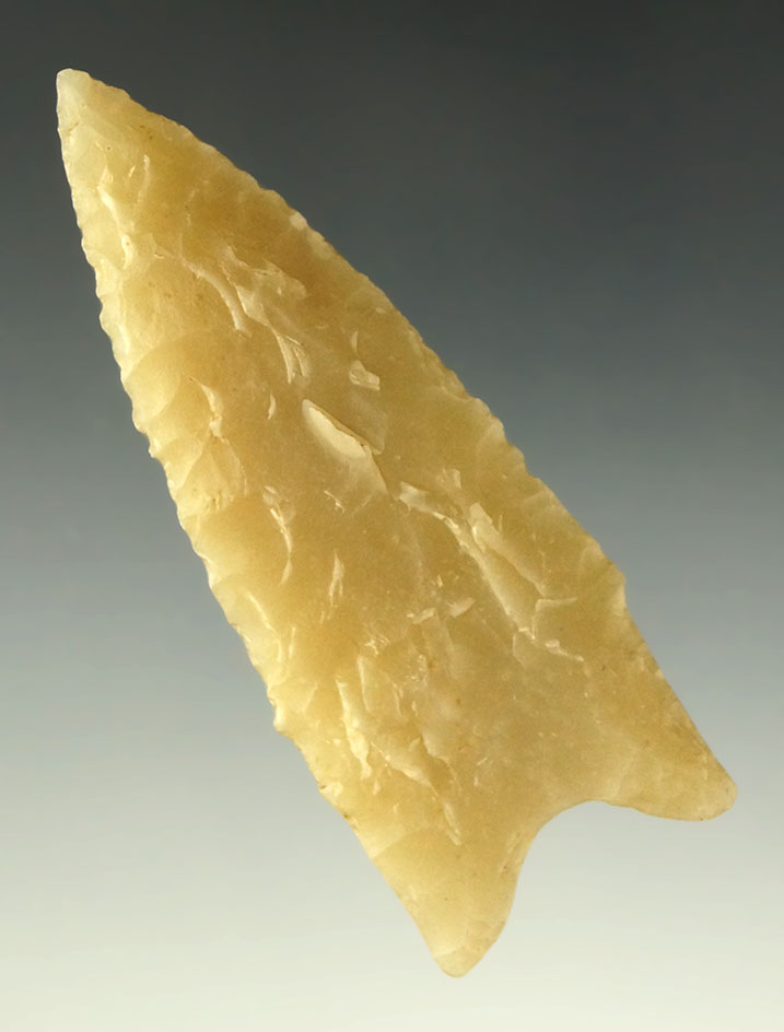 Ex. Perino - Pictured! Well flaked 2 13/16" Dalton - McCurtain County Oklahoma.  Ex. Museum!