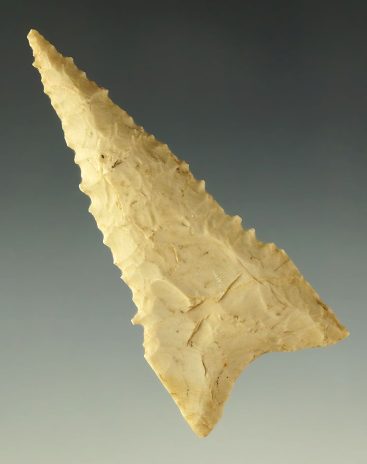 Pictured! 2 7/16" classic style serrated Dalton - Greene County Arkansas.  Ex. Museum!