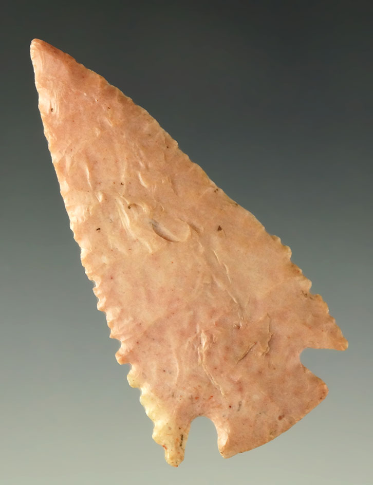 2 7/16" Pelican Lake -Kansas. From the Charlie Shewey collection.  Jackson COA.  Ex. Museum!