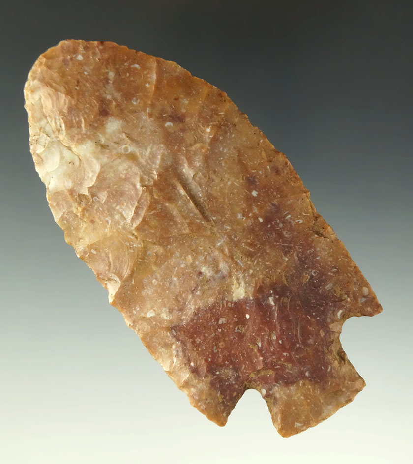 3 15/16" Pontchartrain - Louisiana. Ex. Charles Shewey collection.  Davis COA.  Ex. Museum!