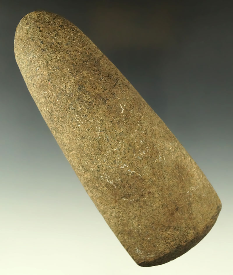 5 1/2" Hardstone Celt with good use polished to the bit area found on a shelf in the basement…