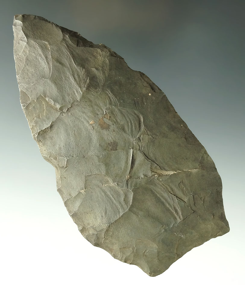 Huge! 5 7/16" long by 2 5/8" wide Mansion Inn Blade made from Esopus chert found on a shelf …