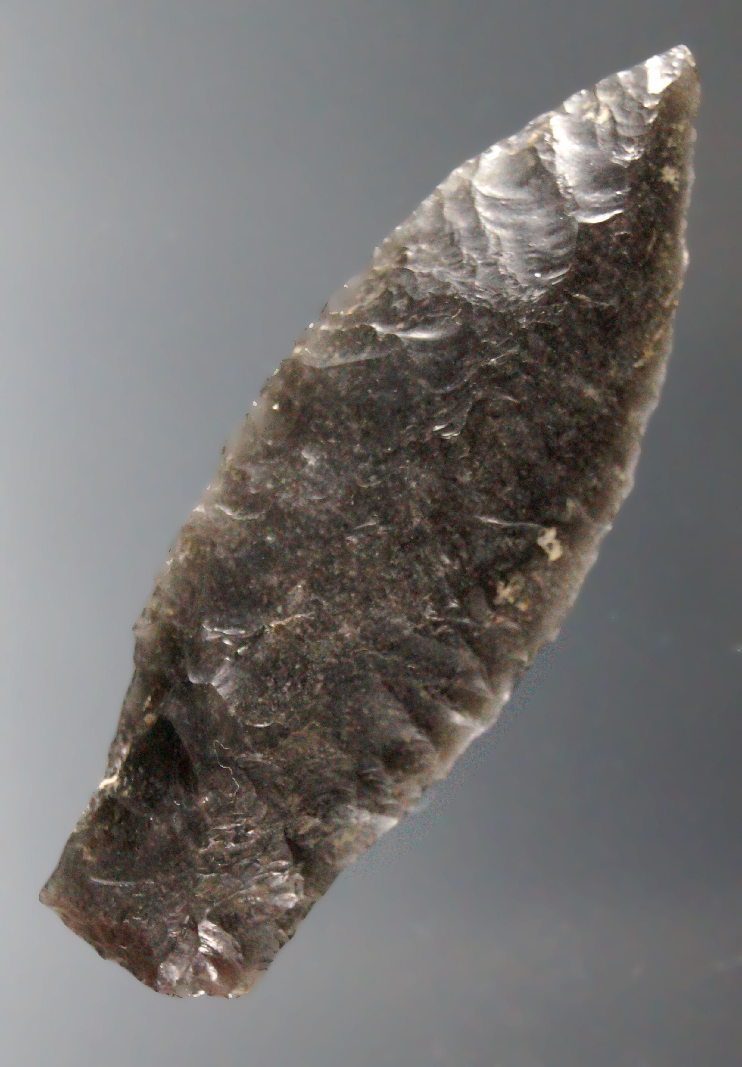 Excellent flaking on this 2 1/4" archaic stemmed lanceolate found in Shasta County, CA.  COA.