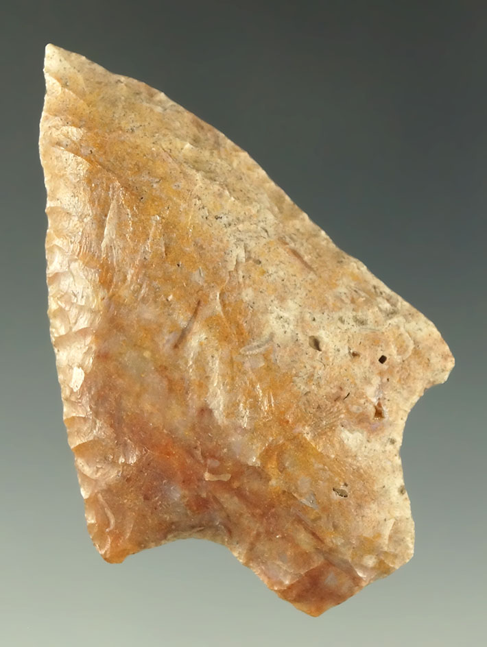 2 3/8" Levy point found in Florida made from attractive multi-colored pink material. Pictured.