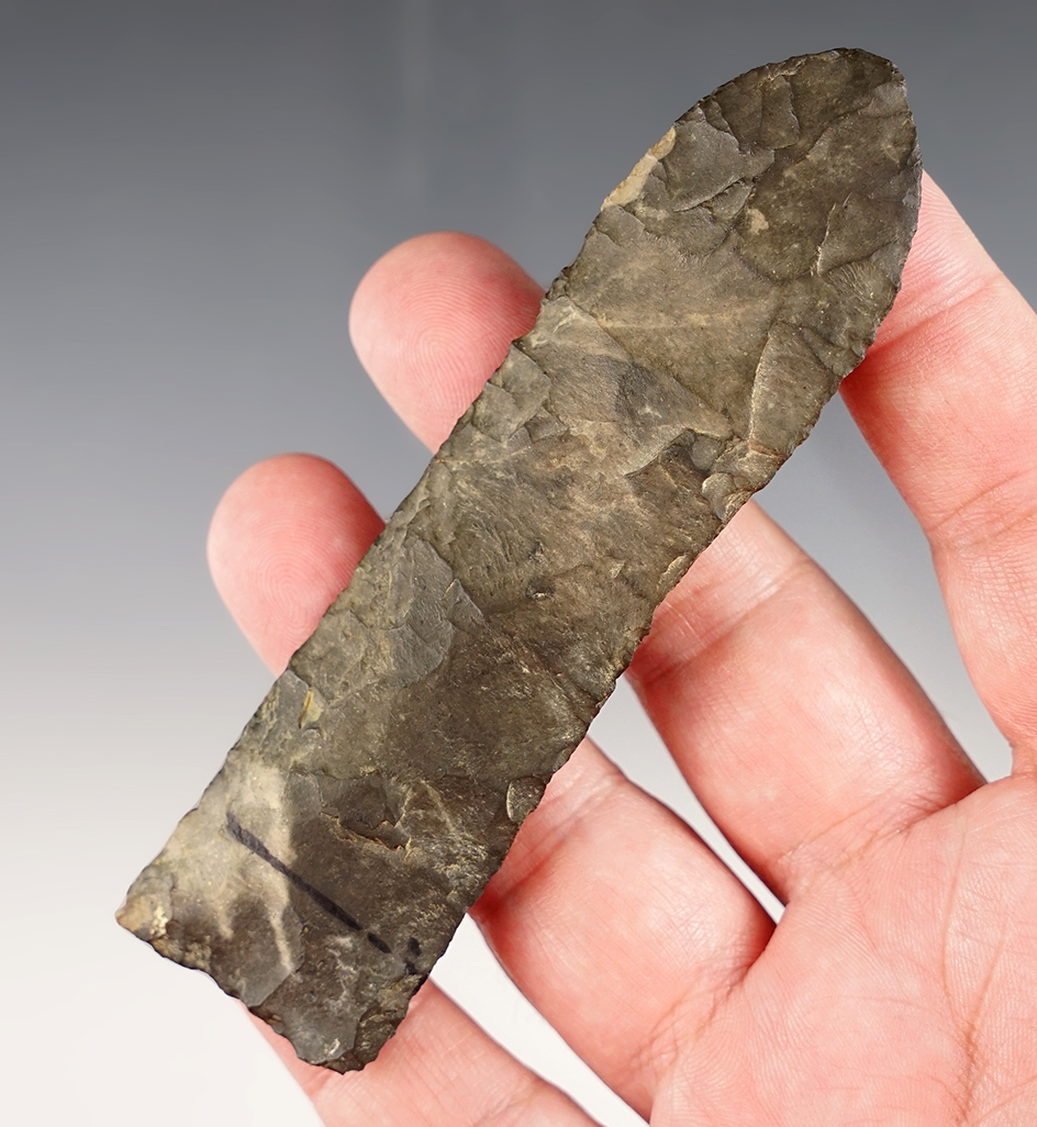 Rare and unique! 4 7/16" beautifully flaked Paleo Lanceolate spear or knife found in New York. 