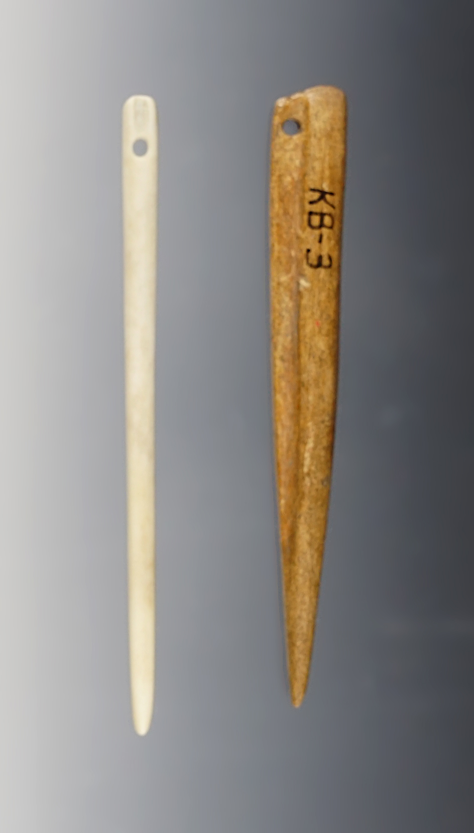 Pair of perforated bone tools found at the Muddy Creek Site, Sandusky Co., Ohio. 