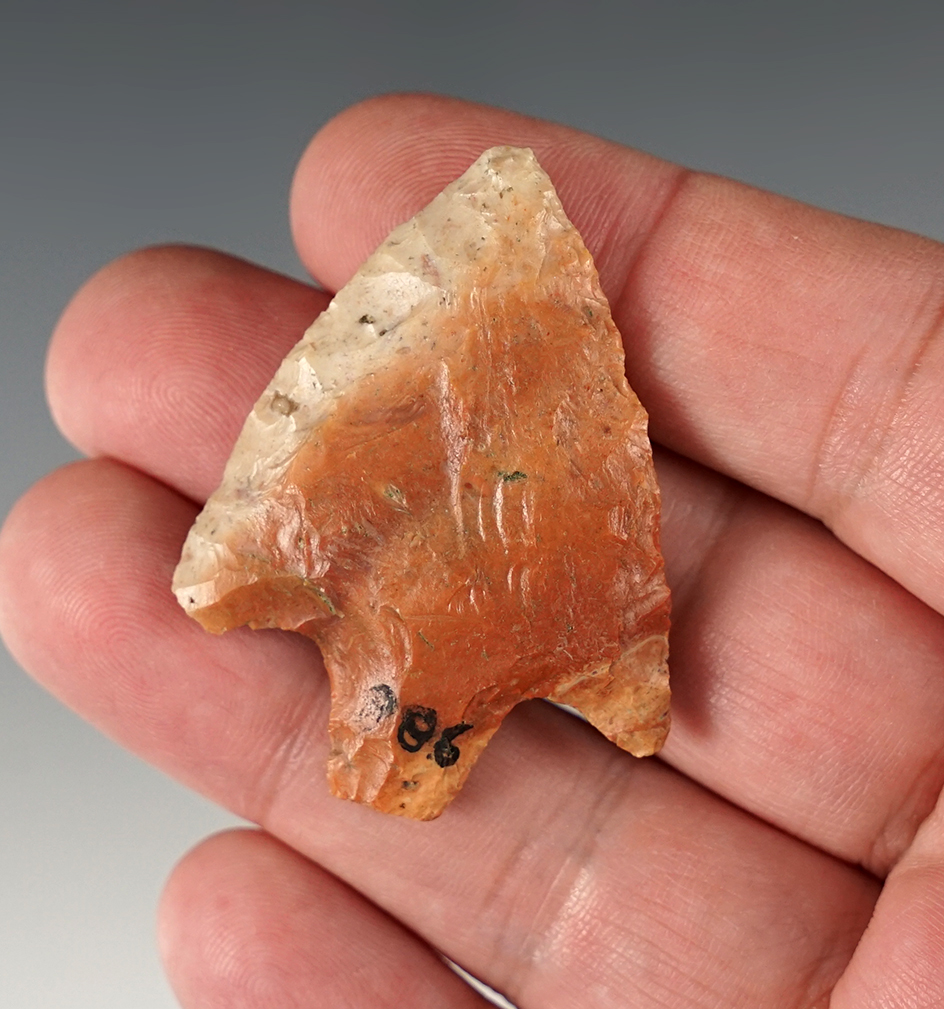 1 15/16" Stemmed Point. Found on the south side of Paynes Prairie in Alachua Co., Florida.