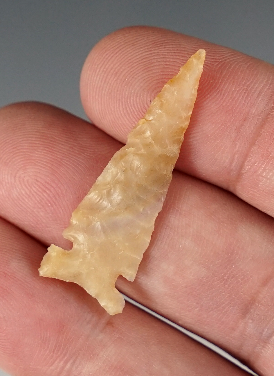 Delicately flaked 1 1/2" Sidenotch Arrowpoint in excellent condition, found in New Mexico.