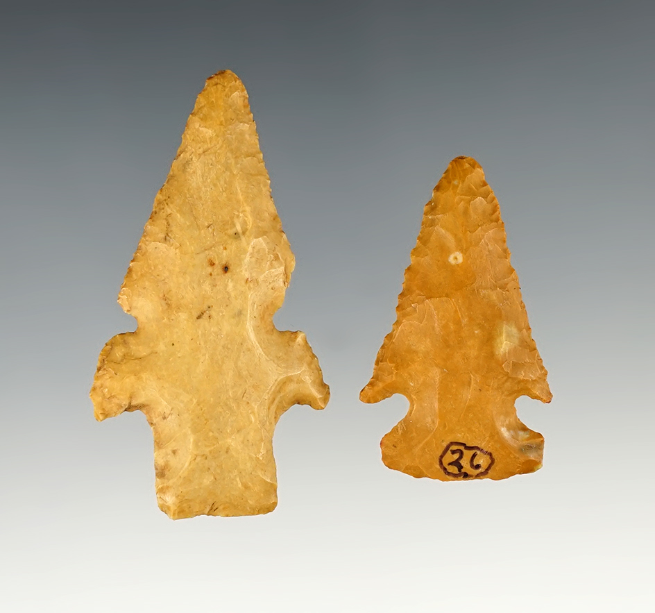 Pair of nicely styled points found in Grant or LaSalle, Parish on the Little River, Louisiana.